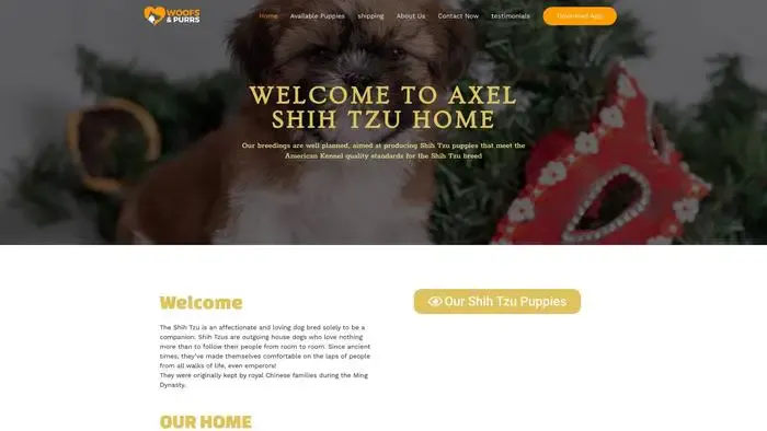 Screenshot of