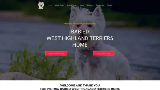Screenshot of||