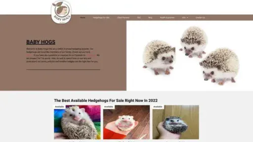 Screenshot of
