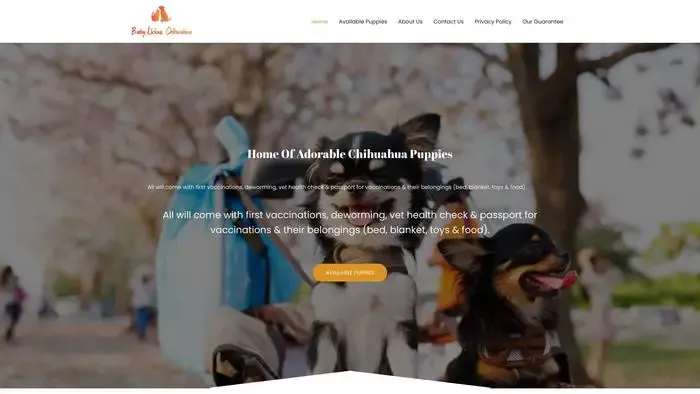 Screenshot of