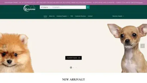 Screenshot of