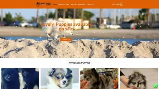 Screenshot of