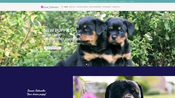 Screenshot of