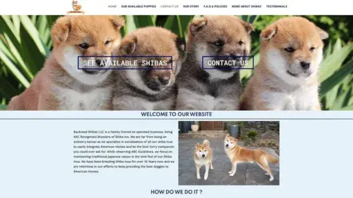 Screenshot of