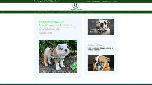 Screenshot of