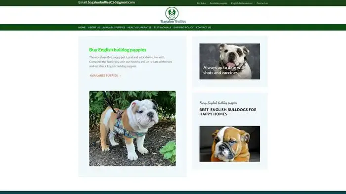 Screenshot of
