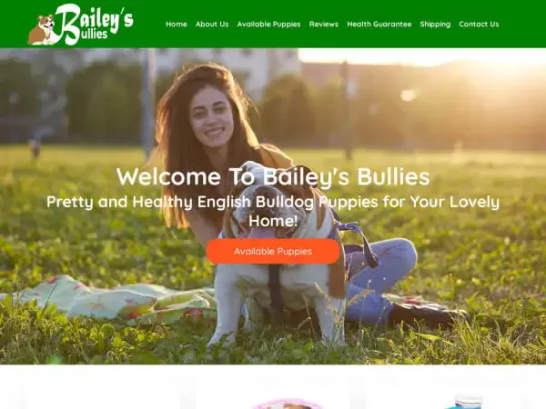 Screenshot of