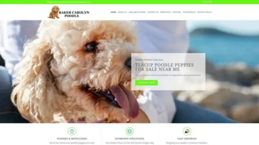 Screenshot of||
