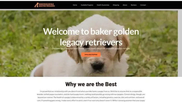 Screenshot of