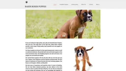 Screenshot of
