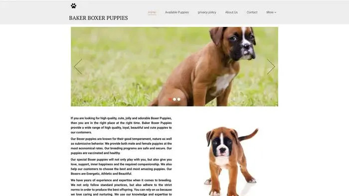 Screenshot of