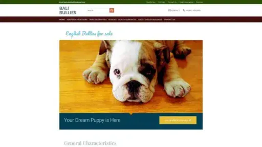 Screenshot of
