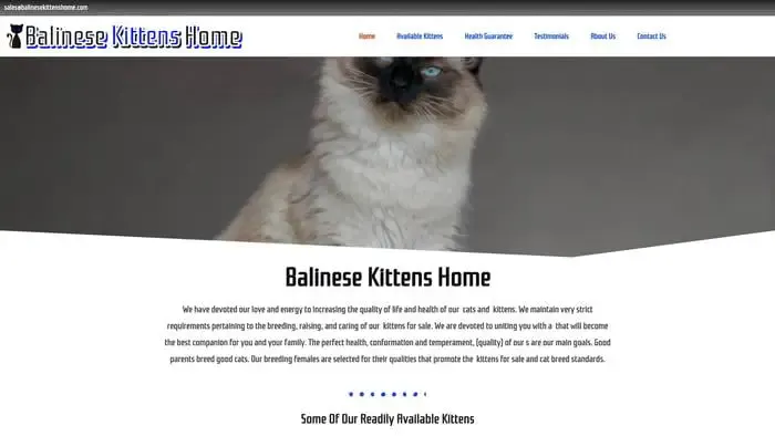 Screenshot of