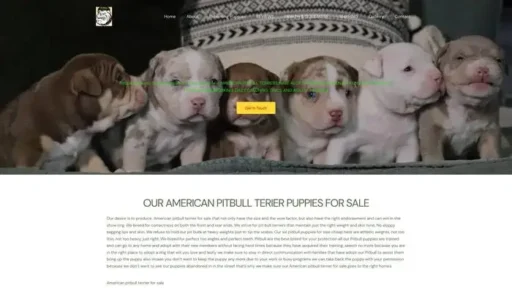 Screenshot of