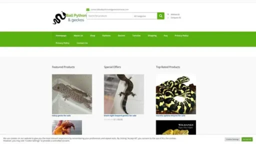 Screenshot of