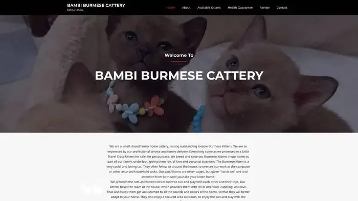 Screenshot of