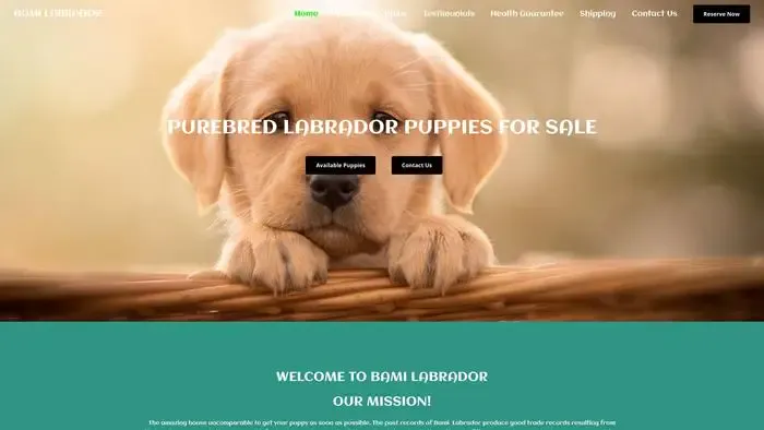 Screenshot of