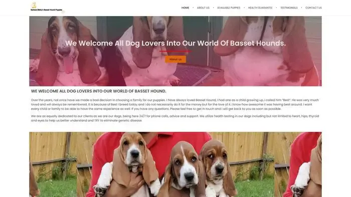 Screenshot of