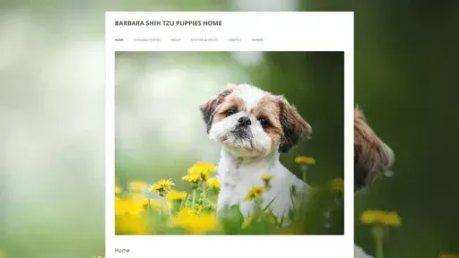 Screenshot of