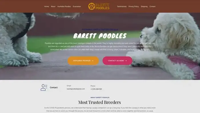 Screenshot of