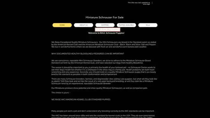 Screenshot of