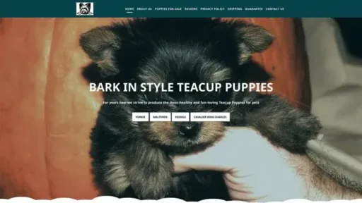 Screenshot of