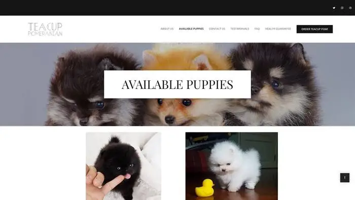 Screenshot of