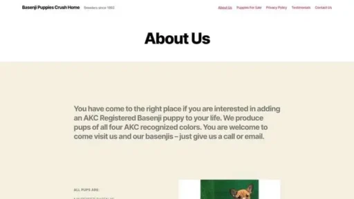 Screenshot of
