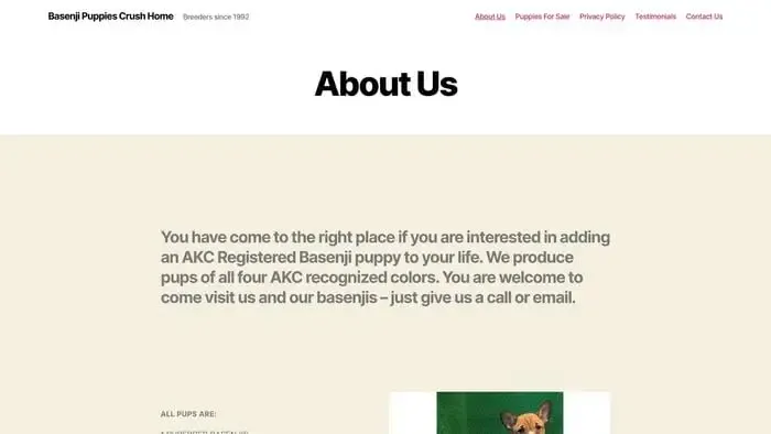 Screenshot of