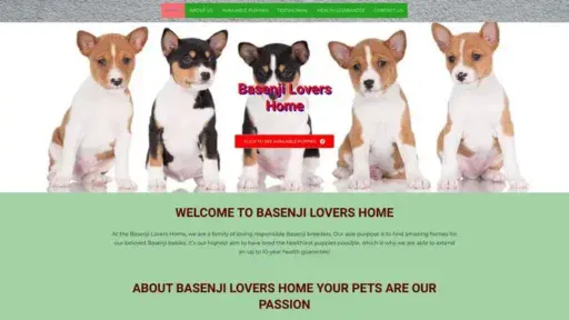 Screenshot of