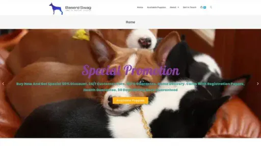 Screenshot of