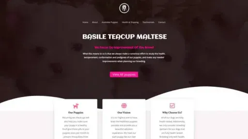 Screenshot of