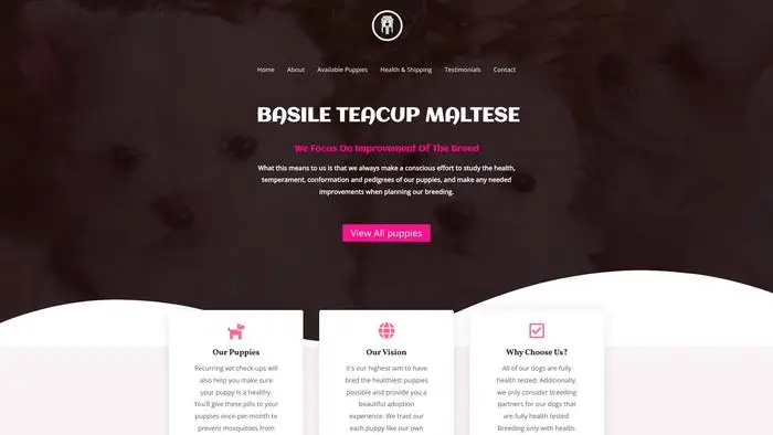Screenshot of