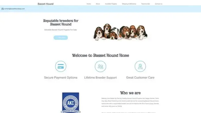 Screenshot of