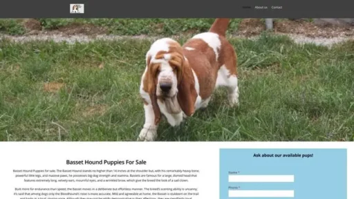 Screenshot of