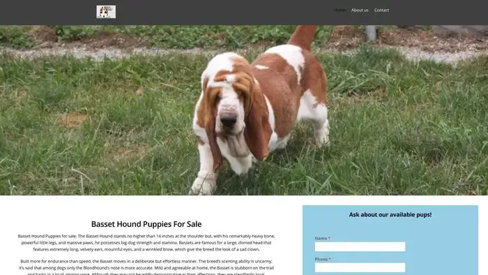 Screenshot of