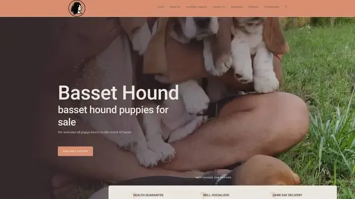 Screenshot of