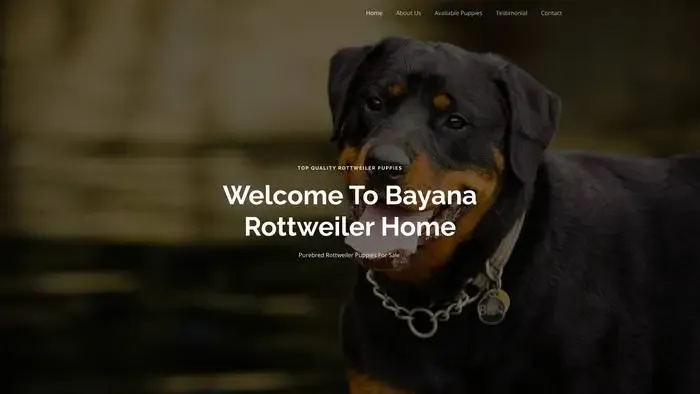 Screenshot of