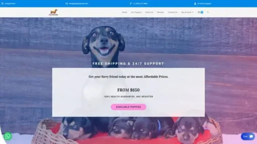 Screenshot of