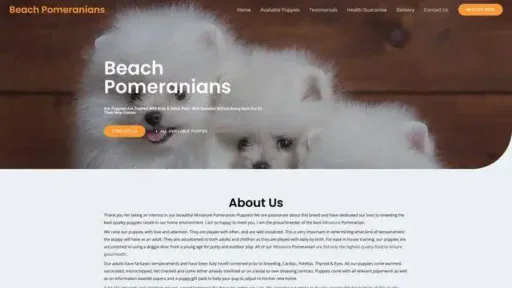 Screenshot of