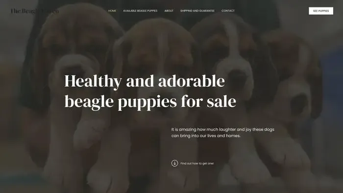 Screenshot of