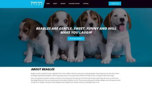 Screenshot of