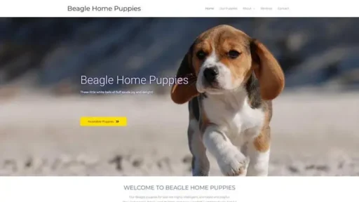 Screenshot of