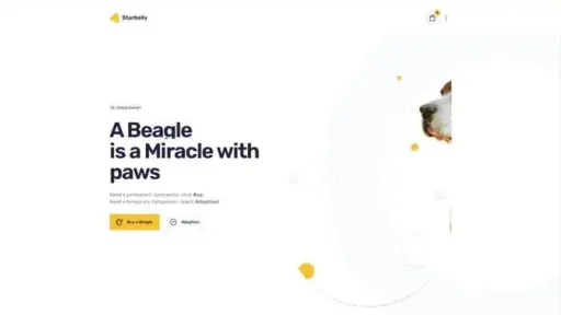 Screenshot of