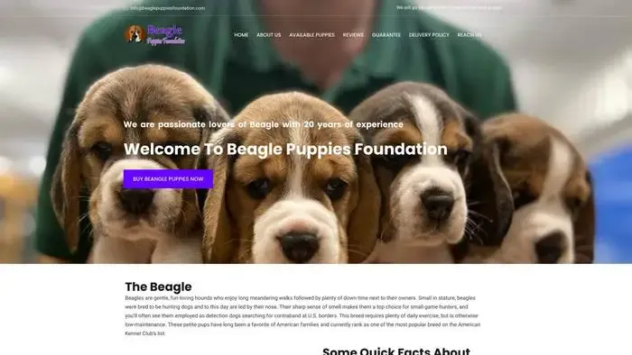 Screenshot of