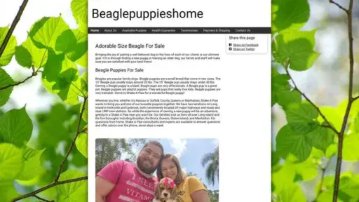 Screenshot of