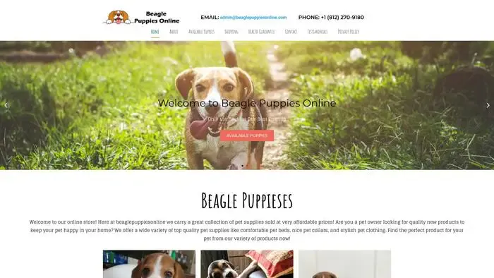 Screenshot of