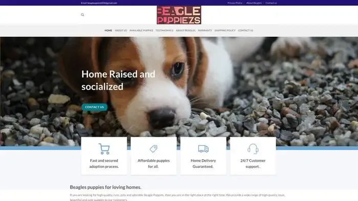 Screenshot of