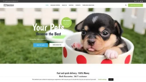 Screenshot of