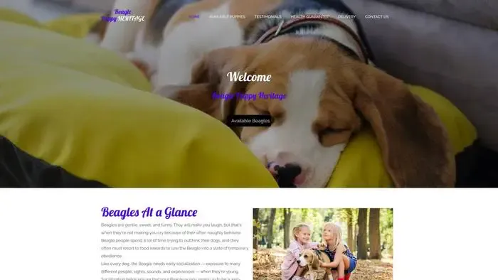 Screenshot of